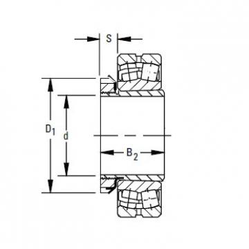 Timken SNP/3096 x 18