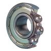 FAG BEARING 6205-2Z-C4 Single Row Ball Bearings