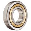 SKF 6036 M