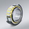 NSK ball bearings New Zealand 1211KTN