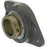 INA RCJTZ25 Flange Block Bearings