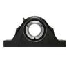 SKF SYNT 75 FTS Pillow Block Bearings