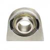 SKF STB012SS Pillow Block Bearings