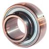 INA AY17NPPB Insert Bearings Spherical OD