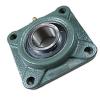 NTN UCFX06D1 Flange Block Bearings