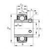 Radial insert ball bearings - SUC202