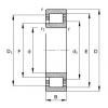 Cylindrical roller bearings - NJ203-E-XL-TVP2