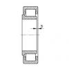 Cylindrical roller bearings - NJ203-E-XL-TVP2