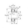 Radial insert ball bearings - GAY100-NPP-B-AS2/V