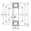 Cylindrical roller bearings - NUP204-E-XL-TVP2