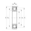 Cylindrical roller bearings - SL183004-XL