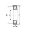 Barrel roller bearings - 20205-TVP