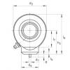 Hydraulic rod ends - GK25-DO