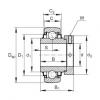 Radial insert ball bearings - NE50-XL-KRR-B