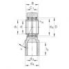 Hydraulic rod ends - GIHNRK63-LO