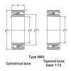 Bearings Cylindrical Roller Bearings NN4920