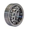 NTN Self-aligning ball bearings Malaysia P217D1