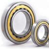 NU1040 NTN Cylindrical Roller Bearing Single Row