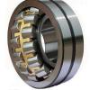 NAG4906UU IKO Cylindrical Roller Bearing Double Row