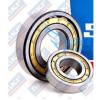 1pc NEW Cylindrical Roller Wheel Bearing NJ205 25×52×15mm