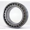 NN3006MK Cylindrical Roller Bearing 30x55x19 Tapered Bore Bearings