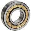 SKF -- NU 312 ECM   CYLINDRICAL ROLLER BEARING