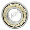 N308M Cylindrical Roller Bearing 40x90x23 Cylindrical Bearings 17519