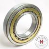 STEYR NU-219E CYLINDRICAL ROLLER BEARING,  95mm x 170mm x 32mm, OPEN