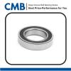 Ball Bearing 6910-2RS Deep Groove Ball Bearings 50mm x 72mm x 12mm