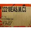 FAG 22218EAS.M.C3 Straight Bore W33 C3 Clearance Spherical Roller Bearing