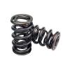 Erson GM LS Chevy Hyd Roller Cam E112115 Cam &amp; Valve Springs Kit LS1 LS2 LS6