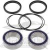 AB Double Row Rear Carrier Bearing Upgrade Kit Honda TRX400EX 2008-2009