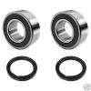 Yamaha Raptor 700 Rear Wheel Double Twin Row Bearing Seal Lonestar RAD Carrier