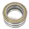 NEW INA SL045017-PP DOUBLE ROW CYLINDRICAL ROLLER BEARING, SL045017PP