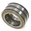 NEW INA SL045017-PP DOUBLE ROW CYLINDRICAL ROLLER BEARING, SL045017PP