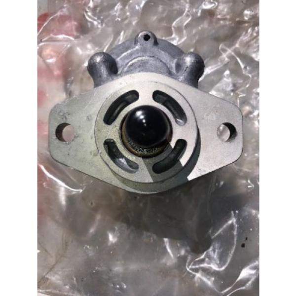 New Parker Hydraulic Gear D09AA2A X070600634 Pump #6 image