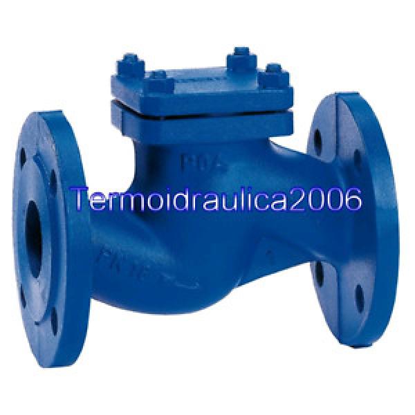 KSB 48909130 BoaR Nonreturn valve DN 50 6 bar Z1 Pump #1 image