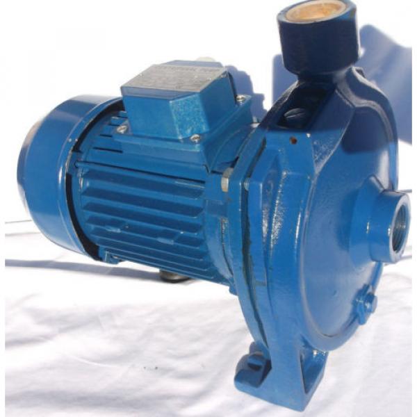 Electric Centrifugal Water CP CPm158 1Hp 240V  Pump #11 image