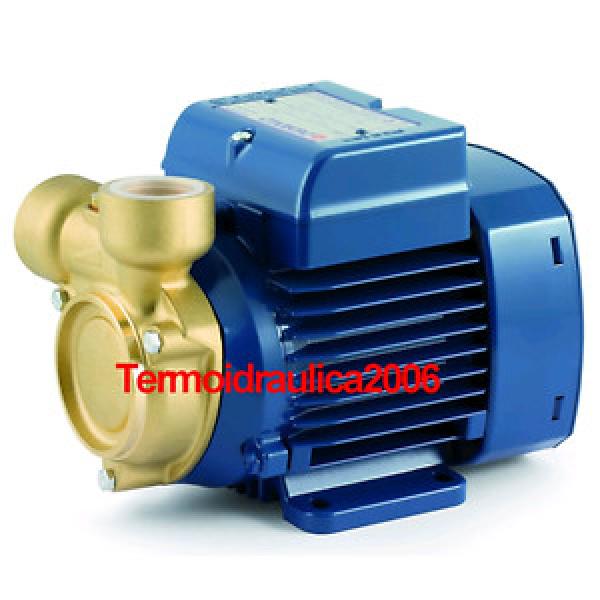 Electric Peripheral Water PQ PQm60Bs 0,5Hp Brass body 240V Pedrollo Z1 Pump #1 image