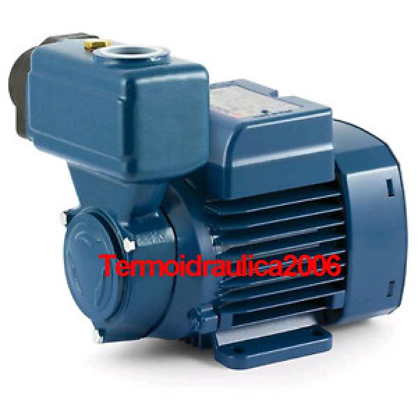 Peripheral Self priming Water PKS m70 0,85Hp Brass 240V Pedrollo Z1 Pump #1 image