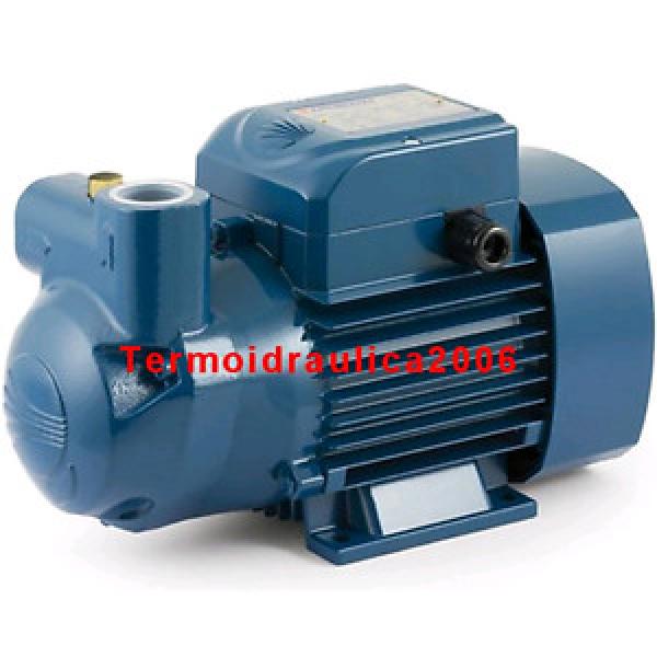 Self Priming liquid ring Electric Water CKRm 90E 1Hp 240V Pedrollo Z1 Pump #1 image