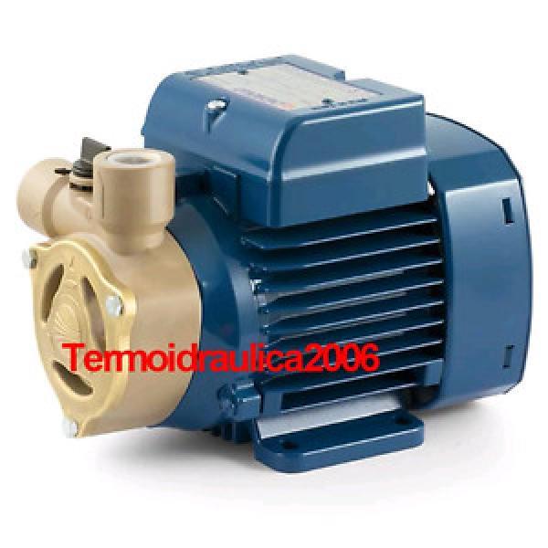 Electric Water with peripheral impeller PQA 60 0,5Hp 400V Pedrollo Z1 Pump #1 image