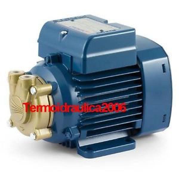 Electric Water with peripheral impeller PVm55 0,5Hp 240V Pedrollo Z1 Pump #1 image