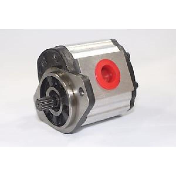 Hydraulic Gear 1PN082AG1S13E3CNXS 8.2 cm³/rev 250 Bar Pressure Rating Pump #1 image