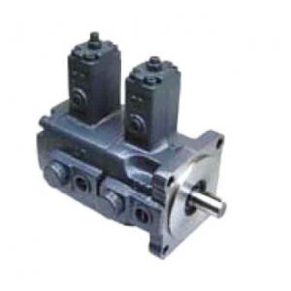 VVPE-F08A-F08A-10 Double Vane Pump #1 image