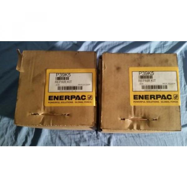 enerpac P39K5 repair kit Pump #1 image