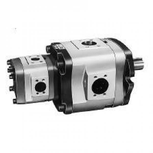 NACHI IPH-34B-13-20-11 IPH Series Double IP Pump #1 image