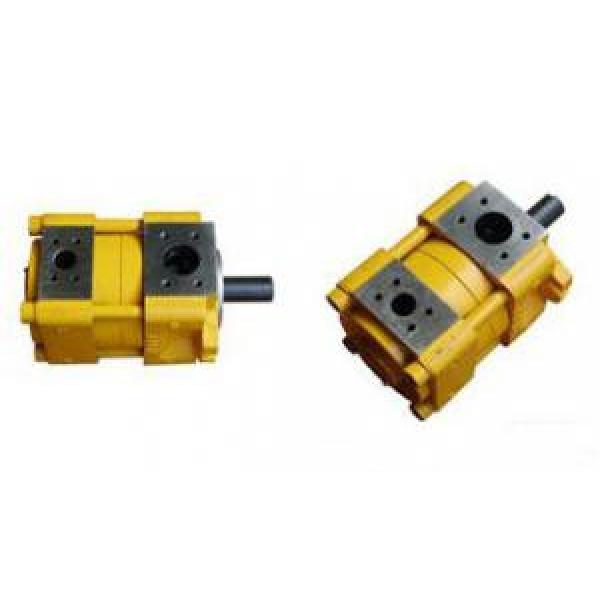 Sumitomo QT Series Gear Pump #1 image