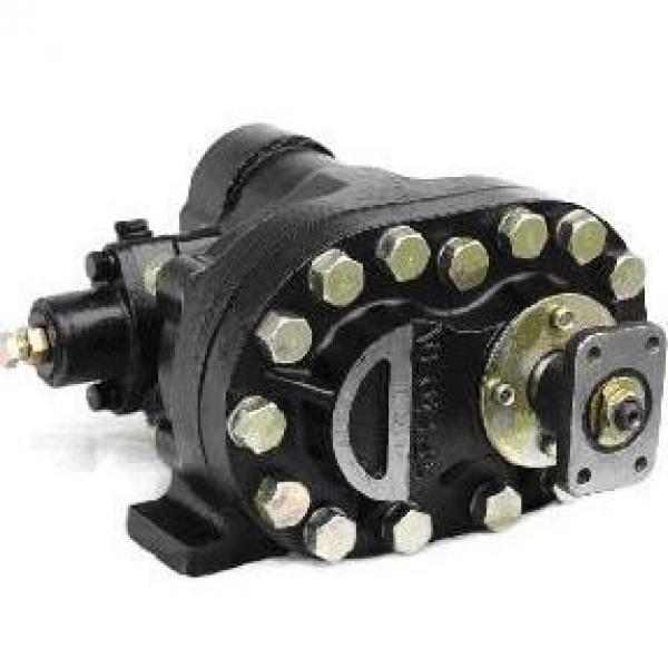 KP Series Dump Truck Lifting Gear Pumps KP-75A #1 image