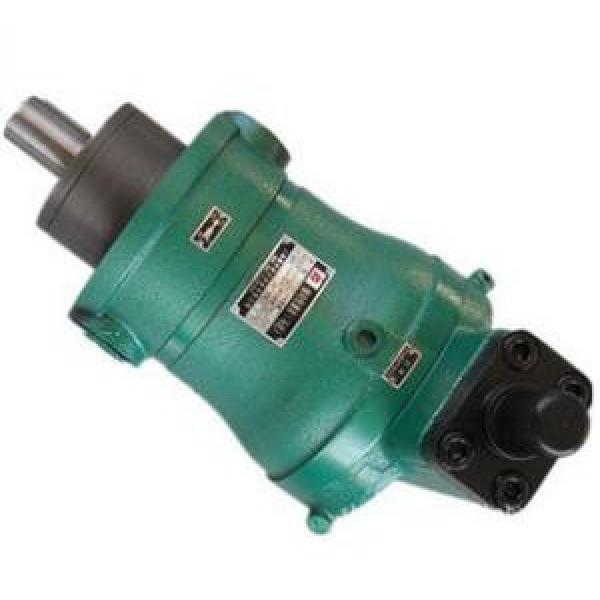 160YCY14-1B  high pressure piston pump #1 image